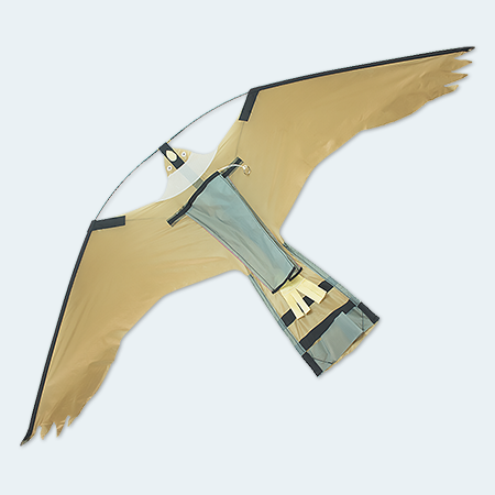 Falcon-Kite-Front-thumb